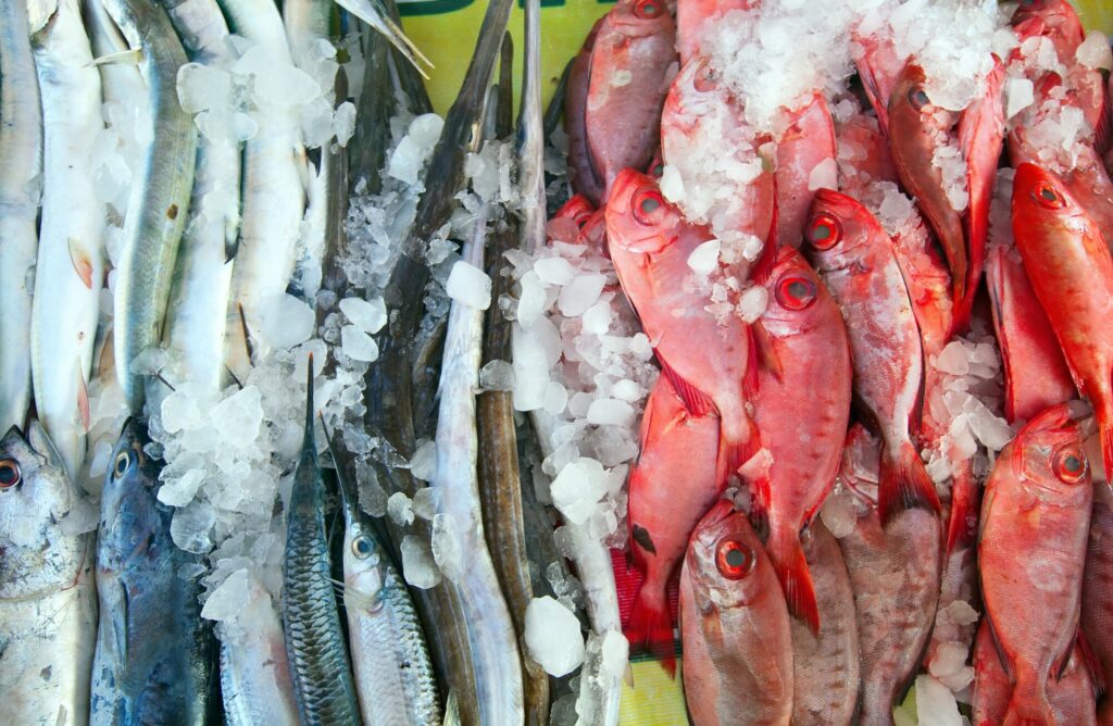 raw fish market counter